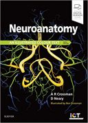 ( Neuroanatomy : An Illustrated Colour Text 2019 ( Crossman