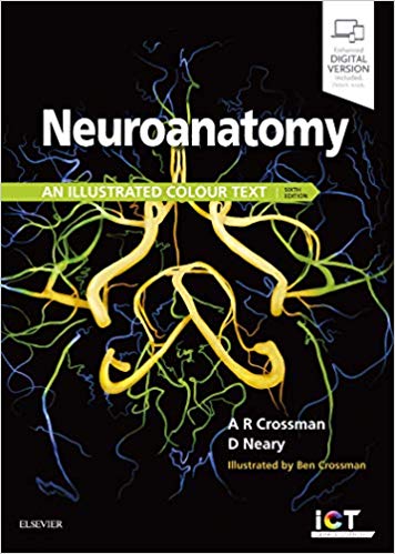  Neuroanatomy : an Illustrated Colour Text 2019 -  Crossman