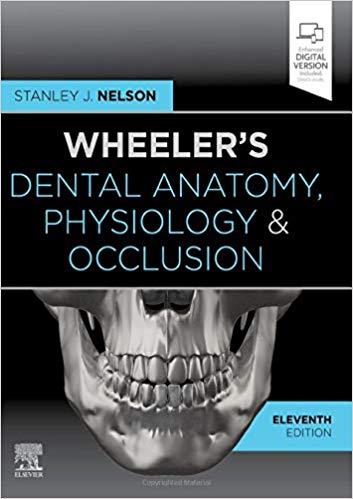Wheeler's Dental Anatomy, Physiology and Occlusion - 2020