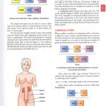 Medical terminology 2020 نمونه داخل کتاب ترمینولوژی کوهن 3