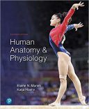Human Anatomy & Physiology – 2019
