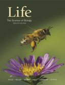 Life : The Science Of Biology – 2020