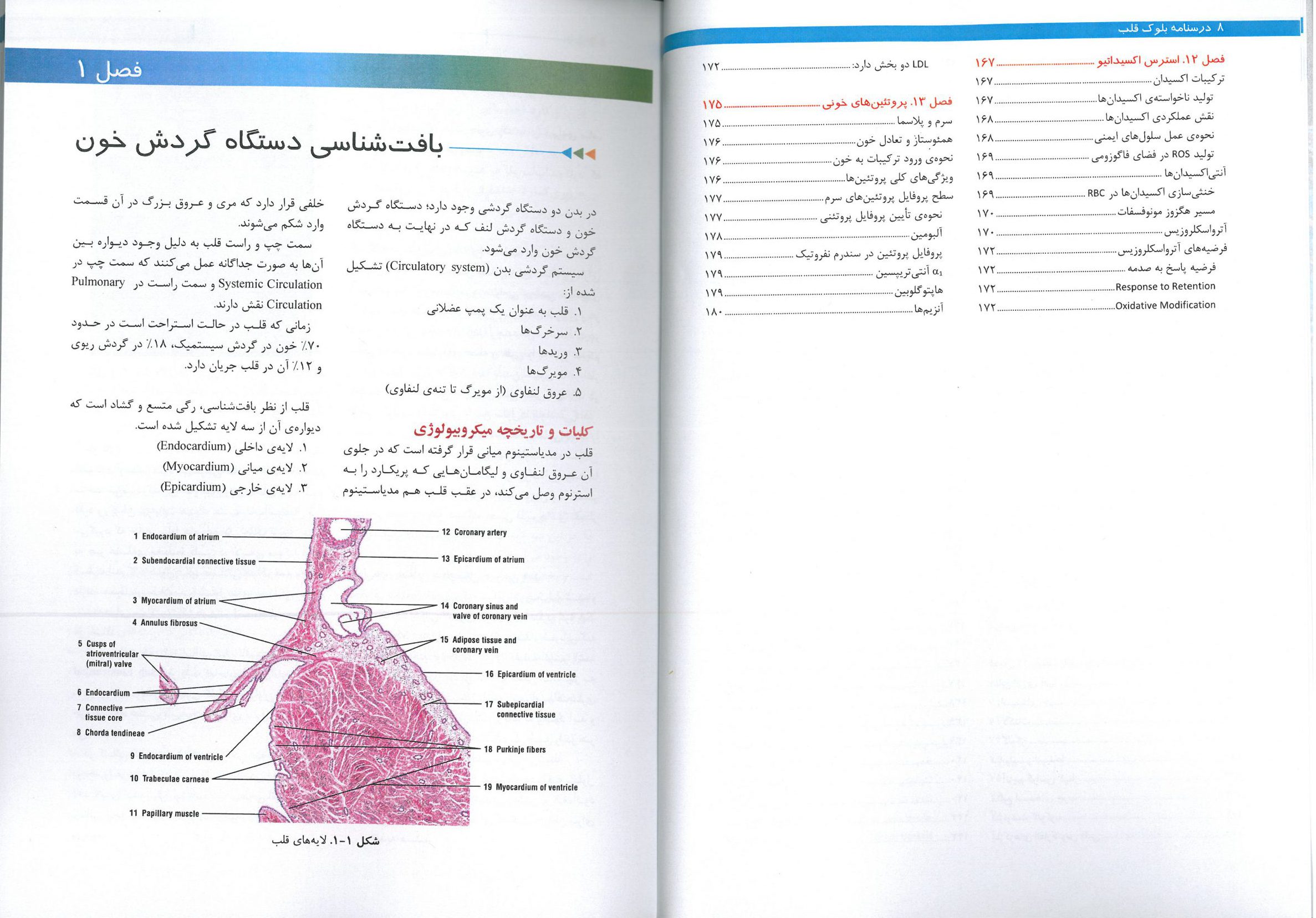 درسنامه دستگاه قلب و گردش خون - بلوک قلب - چاپ دوم - تمام رنگی