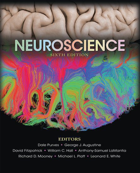 Neuroscience 6th Edition - 2018 - کتاب علوم اعصاب