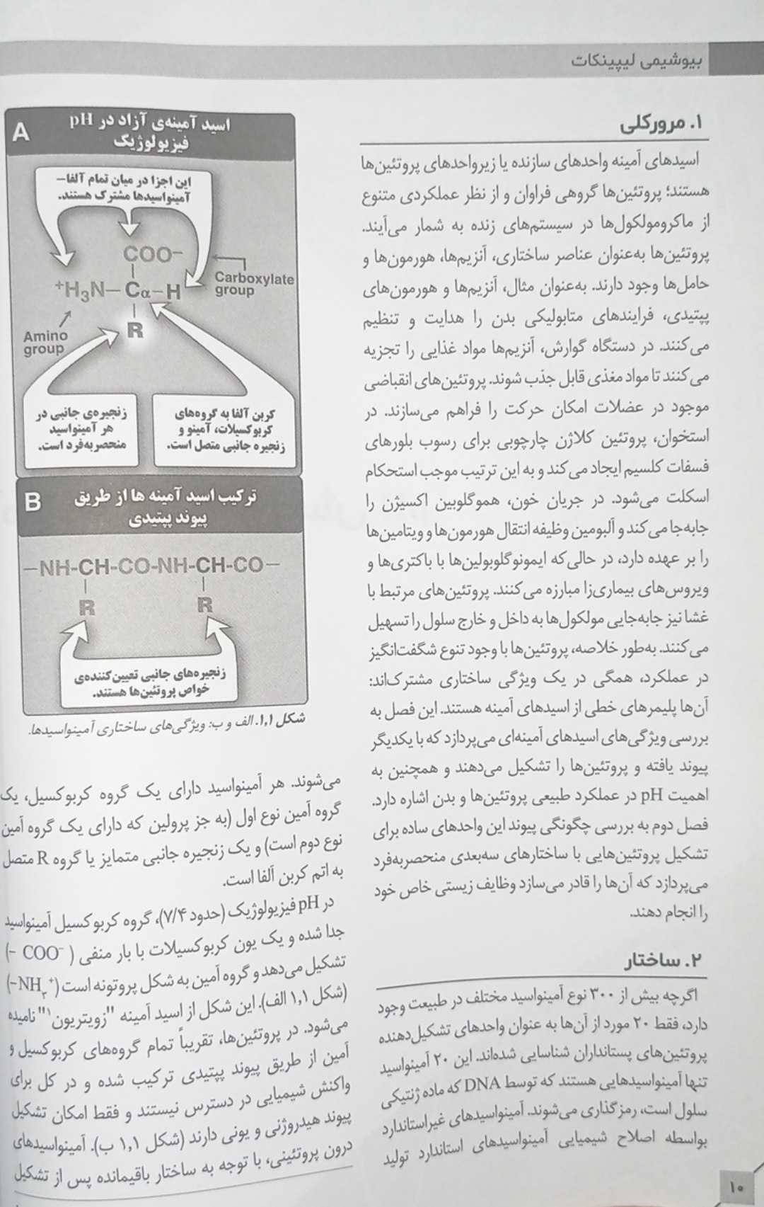 کتاب بیوشیمی لیپینکات - ویرایش نهم | 2025 - تصویر 2