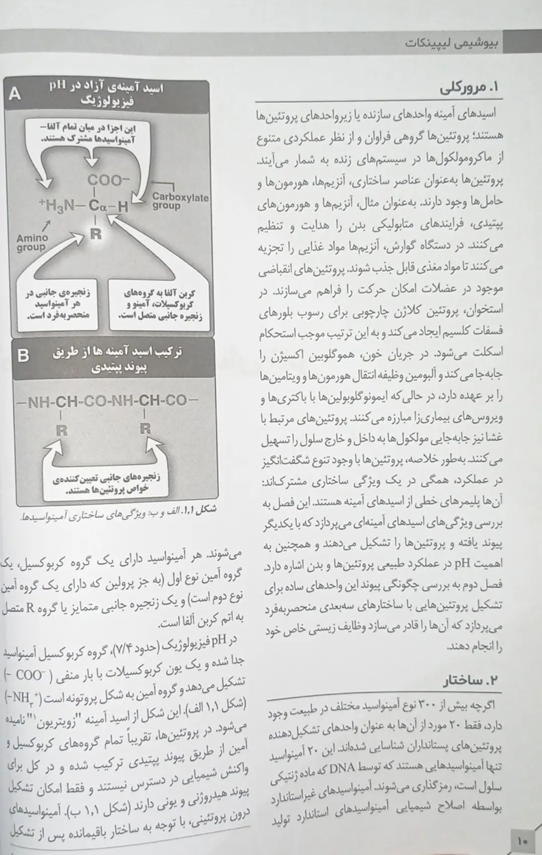 کتاب بیوشیمی لیپینکات - ویرایش نهم | 2025 - تصویر 3