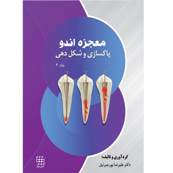 کتاب معجزه اندو : پاکسازی و شکل دهی - جلد ۲ - نشر اشراقیه