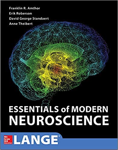 Essentials of Modern Neuroscience 2020 - نشر اشراقیه - خرید کتاب علوم اعصاب