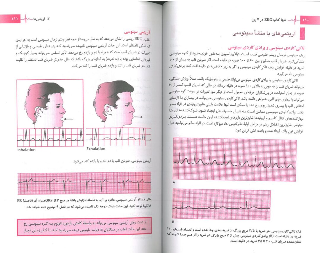 نمونه ترجمه تنها کتاب EKG در هفت روز - 3