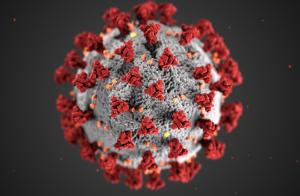 هر آنچه باید در مورد کرونا بدانیم - Corona virus - مقاله - نشر اشراقیه
