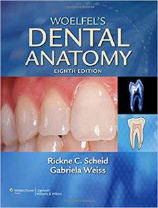 Woelfel's Dental Anatomy 8th Edition - کتاب آناتومی دندانپزشکی