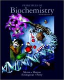 Principles Of Biochemistry – 5th Edition