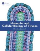 Molecular And Cellular Biology Of Viruses