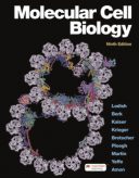 Lodish Molecular Cell Biology 9th Edition | کتاب زیست شناسی لودیش ۲۰۲۱