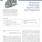 نمونه چاپ کتاب افست زیست شناسی لودیش 2021 - کتاب افست زیست شناسی لودیش - بیولوژی لودیش 2021 | تمام رنگی - کاغذ تحریر