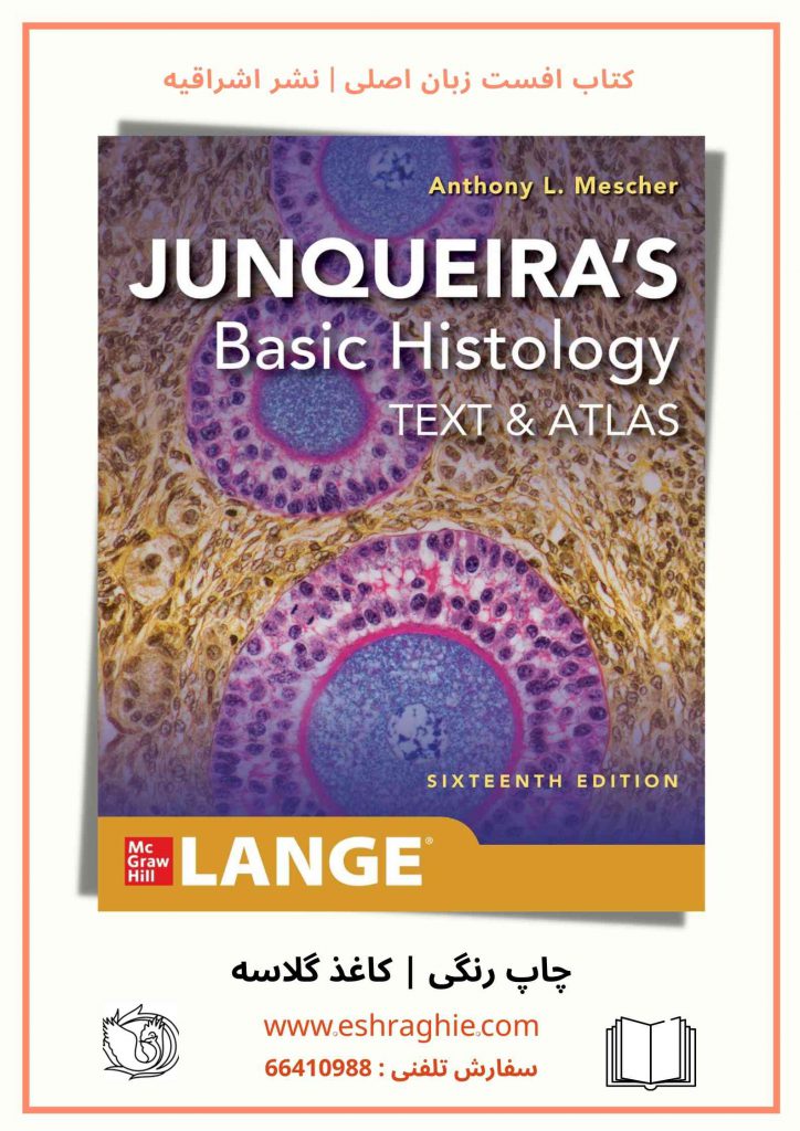 بافت شناسی جان کوئیرا 2021 - basic histology junquira 16th edition