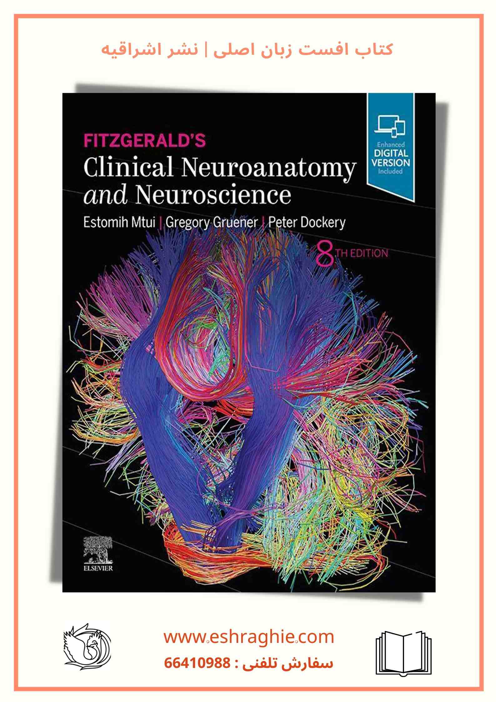 Fitzgerald's Clinical Neuroanatomy and Neuroscience 8th Edition
