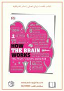 How The Brain Works : The Facts Visually Explained | 2020