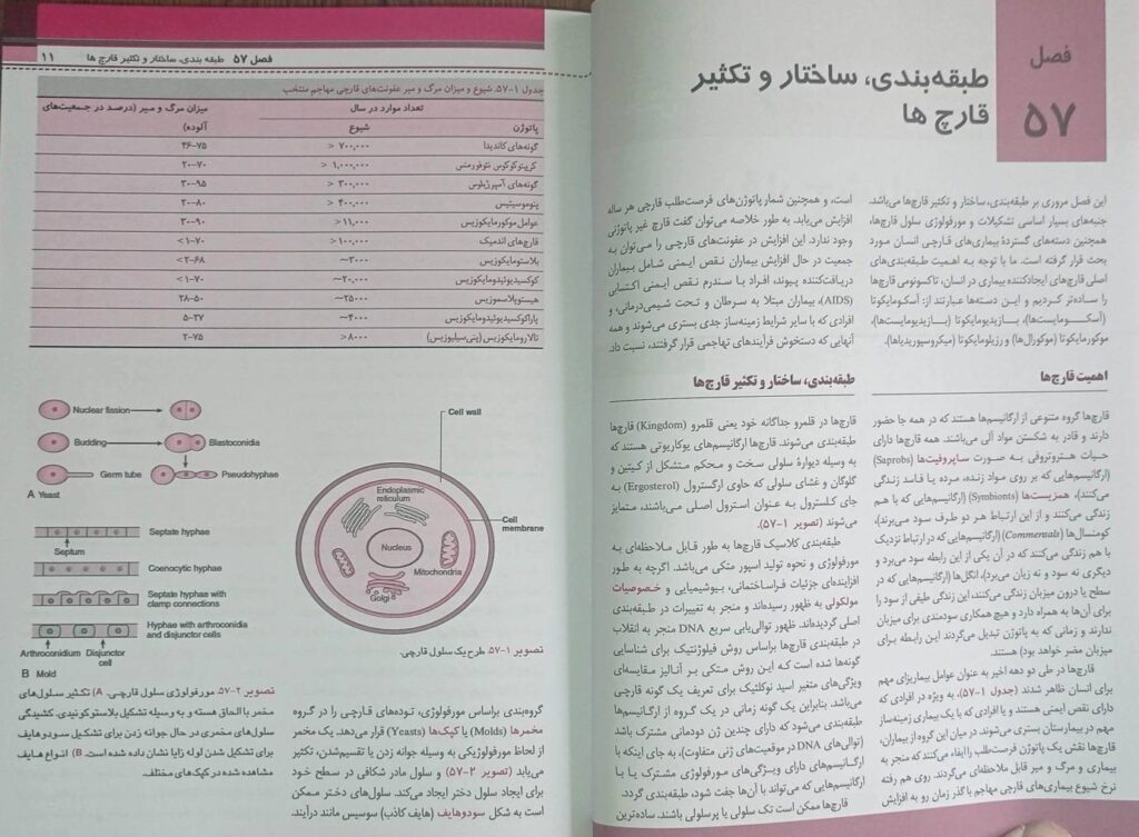 میکروب شناسی پزشکی – قارچ شناسی و انگل شناسی مورای ۲۰۲۶ | ترجمه دکتر جلال مردانه