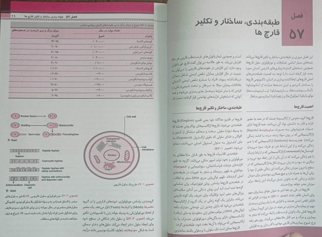 میکروب شناسی پزشکی – قارچ شناسی و انگل شناسی مورای ۲۰۲۶ | ترجمه دکتر جلال مردانه