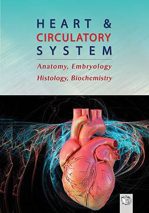 Heart & Circulatory System – Anatomy, Embryology, Histology, Biochemistry