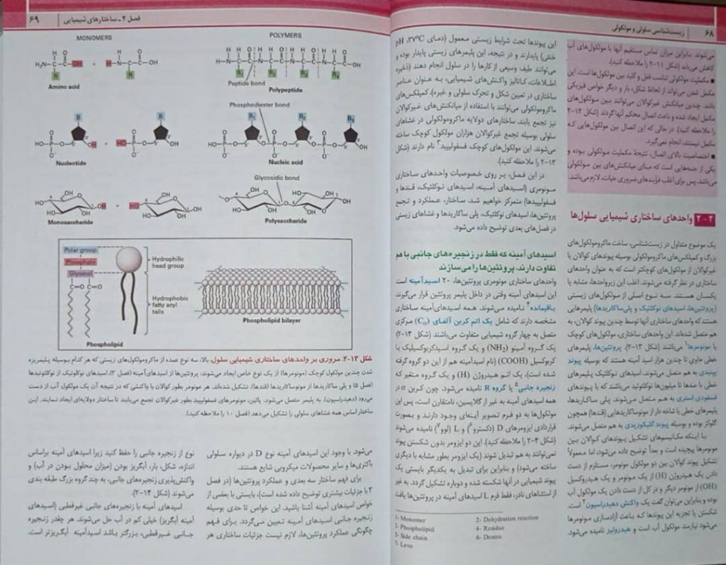 زیست شناسی سلولی و مولکولی لودیش 2021 | جلد اول