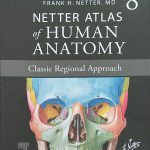 کتاب افست زبان اصلی اطلس آناتومی نتر 2023 Atlas Netter