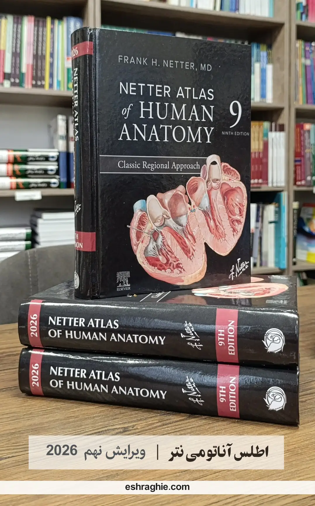 کتاب اطلس آناتومی نتر 2026 | Atlas of Anatomy Netter 9th edition