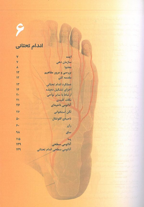 آناتومی گری برای دانشجویان ۲۰۲۴ | جلد دوم – اندام ( ترجمه عمیدی ) - تصویر 4