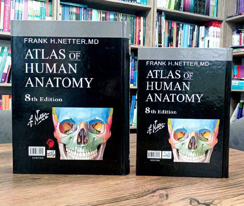 مقایسه پشت جلد قطع رحلی و وزیری کتاب اطلس آناتومی نتر 2023 | Atlas of Human Anatomy netter