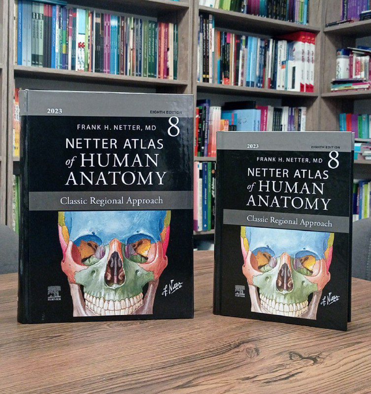 مقایسه سایز قطع رحلی و وزیری کتاب اطلس آناتومی نتر 2023 | Atlas of Human Anatomy netter