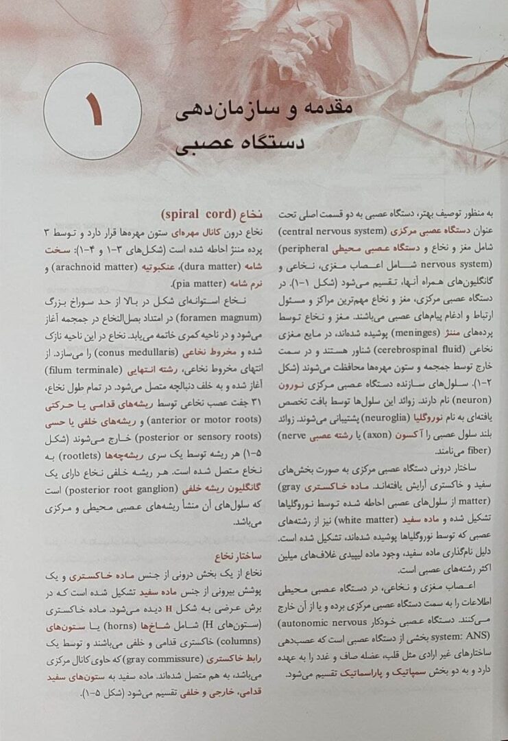 QR | خلاصه نورو آناتومی بالینی اسنل 2019