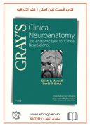 Gray’s Clinical Neuroanatomy : The Anatomic Basis For Clinical Neuroscience ...