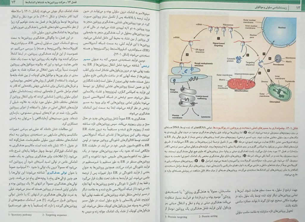 متن کتاب زیست شناسی سلولی و مولکولی لودیش 2021 | جلد دوم - نشر اندیشه رفیع - ترجمه دکتر محمدنژاد