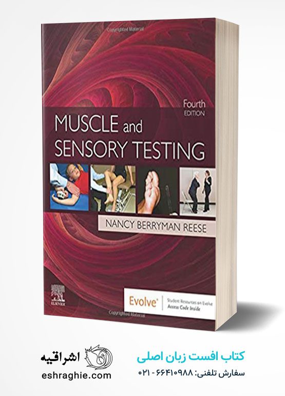 Muscle and Sensory Testing