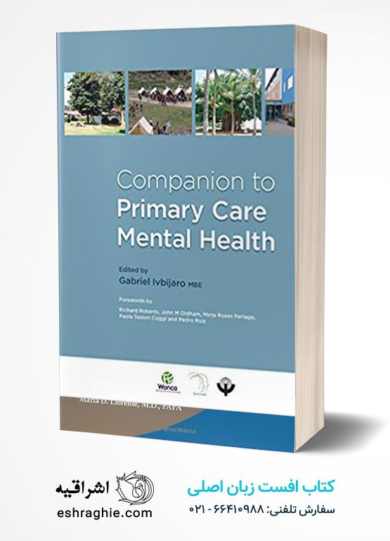 Companion to Primary Care Mental Health 1st Edition