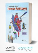 A Visual Analogy Guide To Human Anatomy