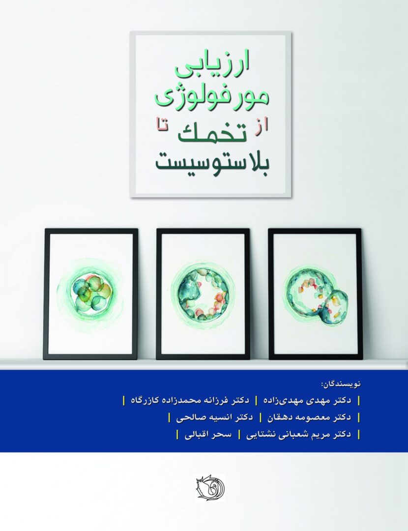 ارزیابی مورفولوژی از تخمک تا بلاستوسیست