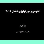 آناتومی و مورفولوژی دندان 2019 1