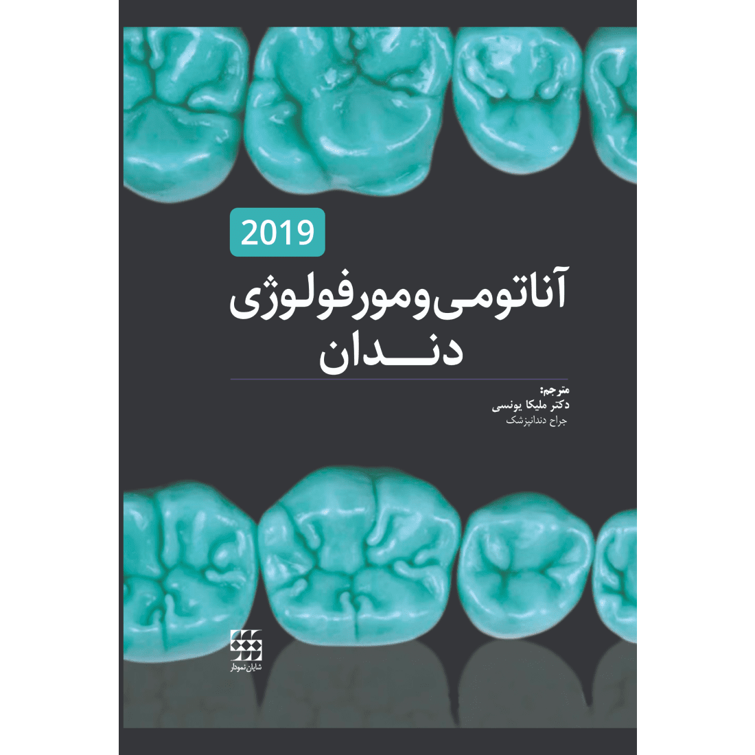 آناتومی و مورفولوژی دندان 2019