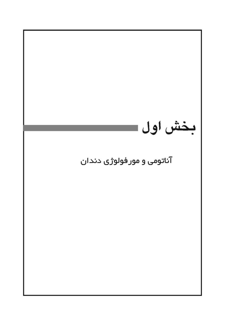 پکیج دستیار دندانپزشک - Image 9