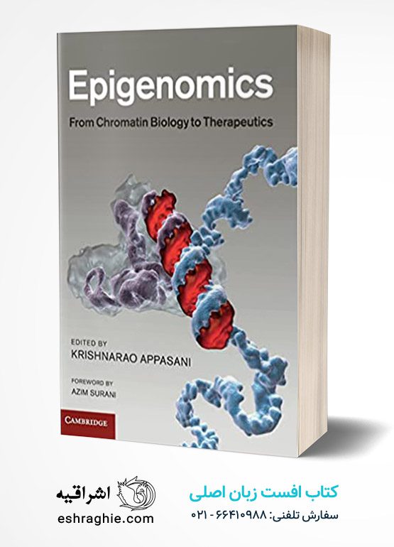 Epigenomics: From Chromatin Biology to Therapeutics