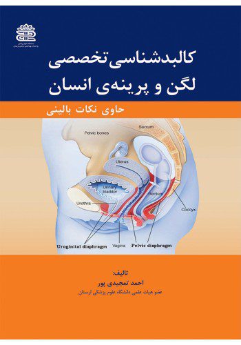 کالبدشناسی تخصصی لگن و پرینه‌ی انسان