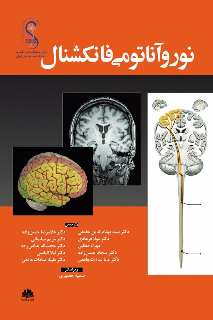 نوروآناتومی فانکشنال
