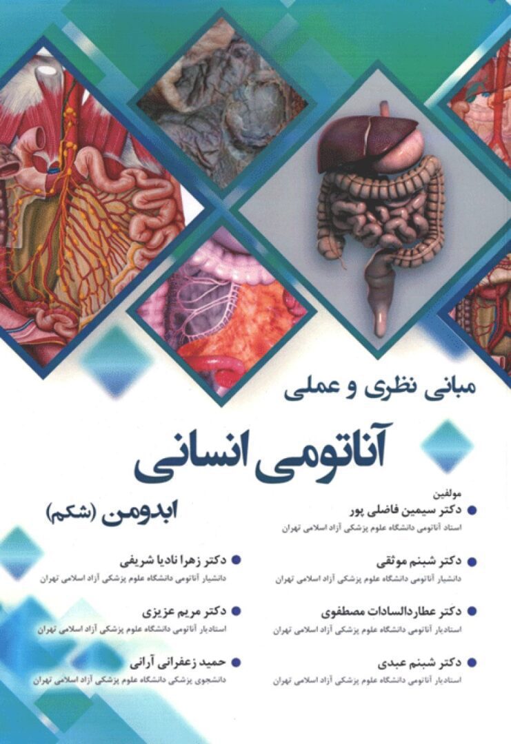 راهنمای عملی آناتومی انسانی ابدومن شکم