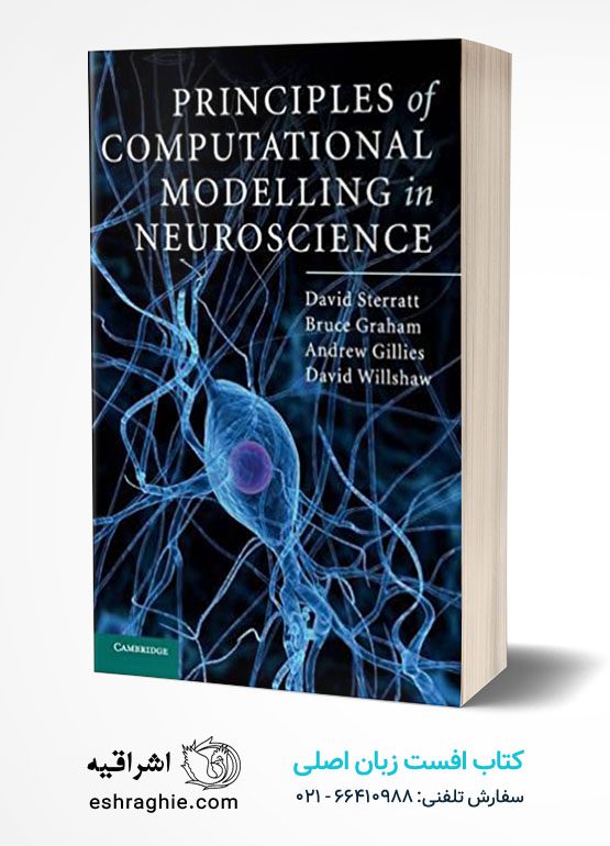 Principles of Computational Modelling in Neuroscience Illustrated Edition