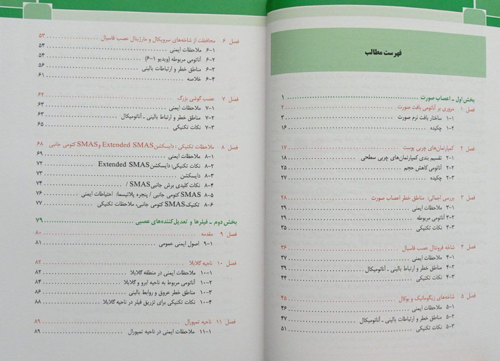 نواحی خطر صورت در پروسیجر های زیبایی | دکتر داوود رمزی