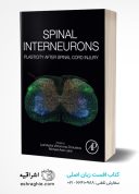 Spinal Interneurons: Plasticity After Spinal Cord Injury