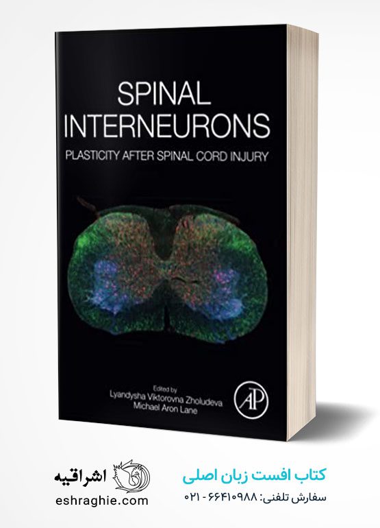 Spinal Interneurons: Plasticity after Spinal Cord Injury