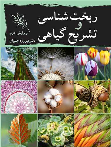 کتاب ریخت شناسی و تشریح گیاهی